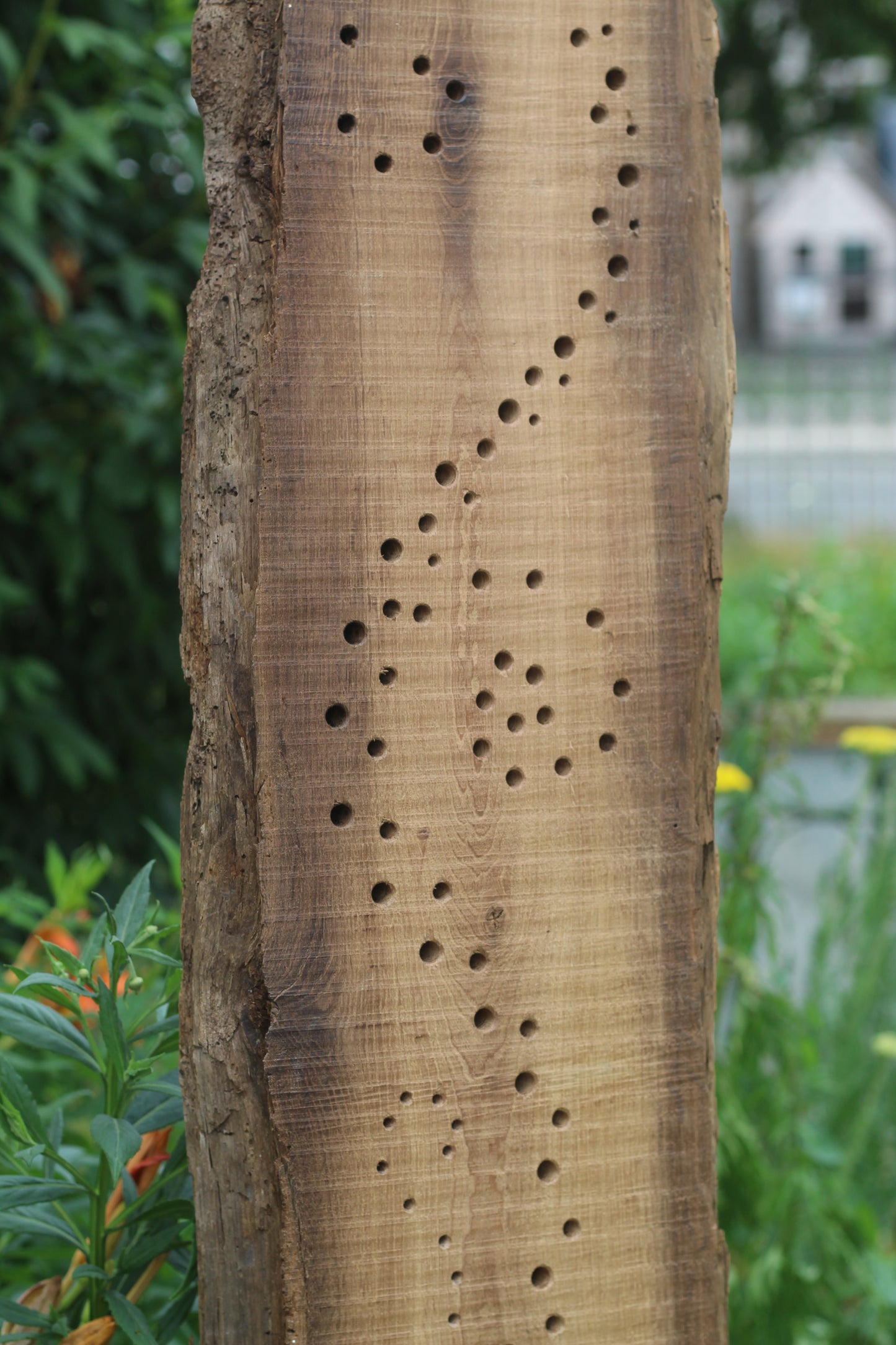 Insektenhotel, Nisthilfe, Gartenkunst