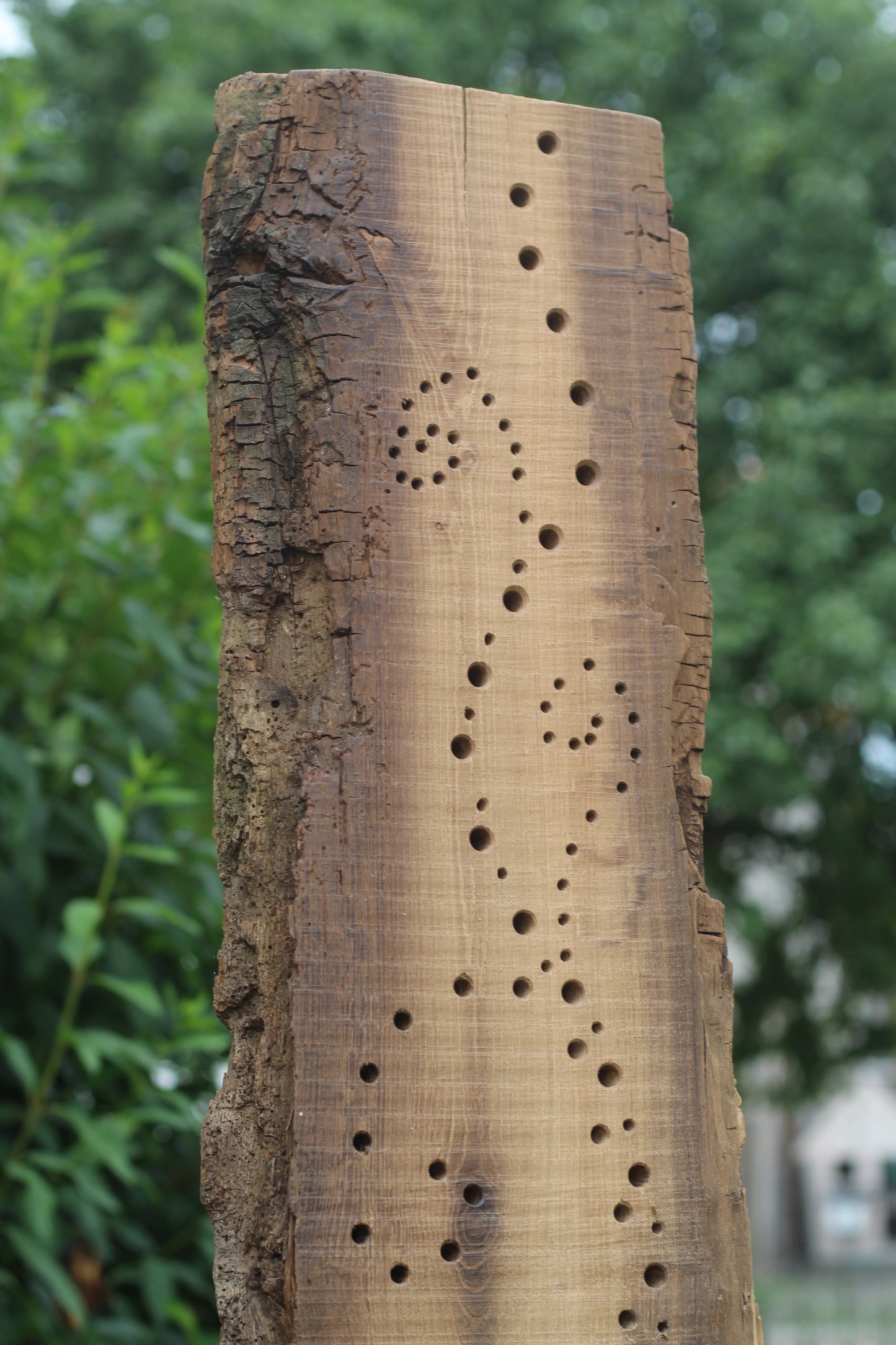 Insektenhotel, Nisthilfe, Gartenkunst