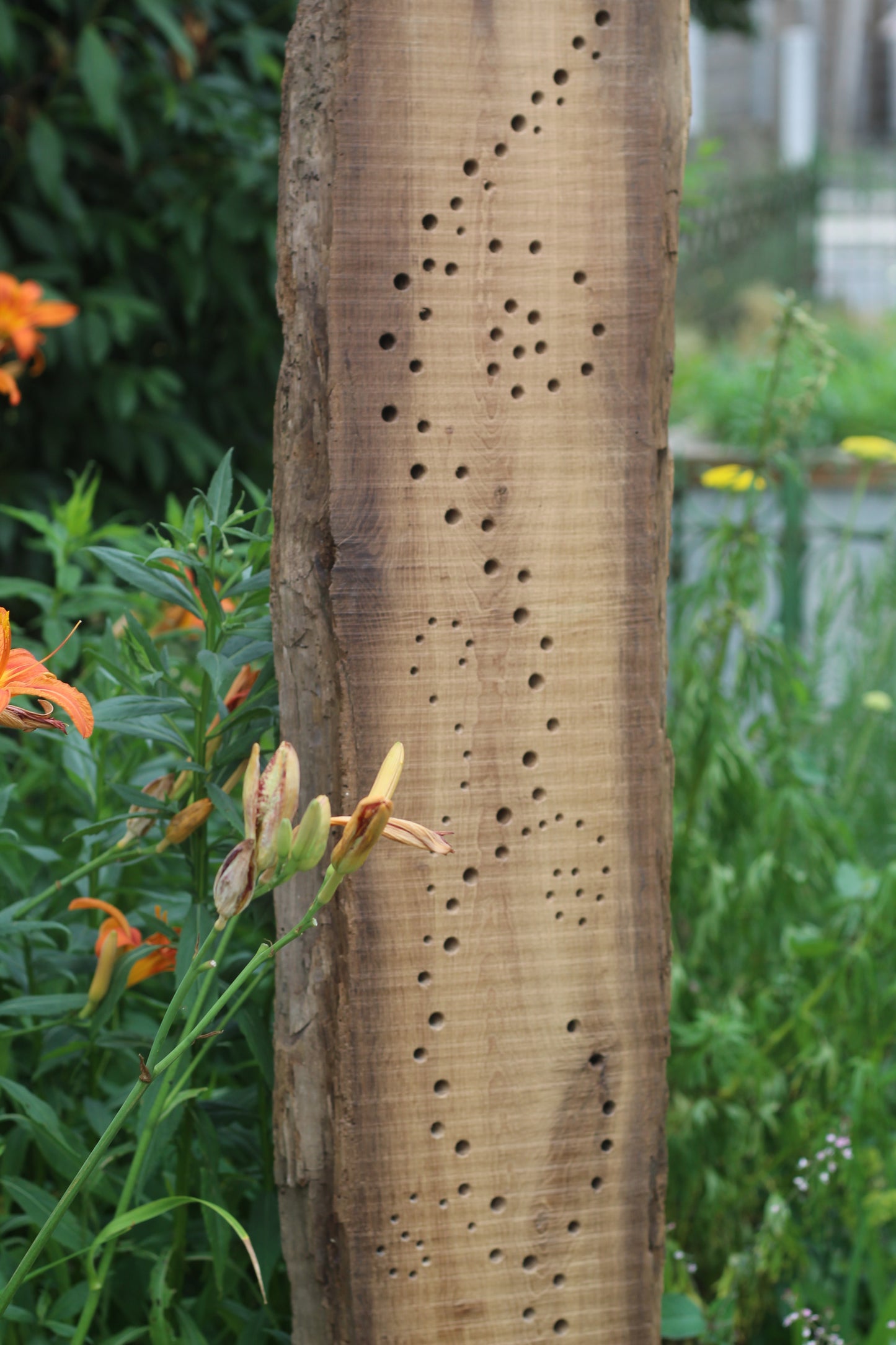 Insektenhotel, Nisthilfe, Gartenkunst