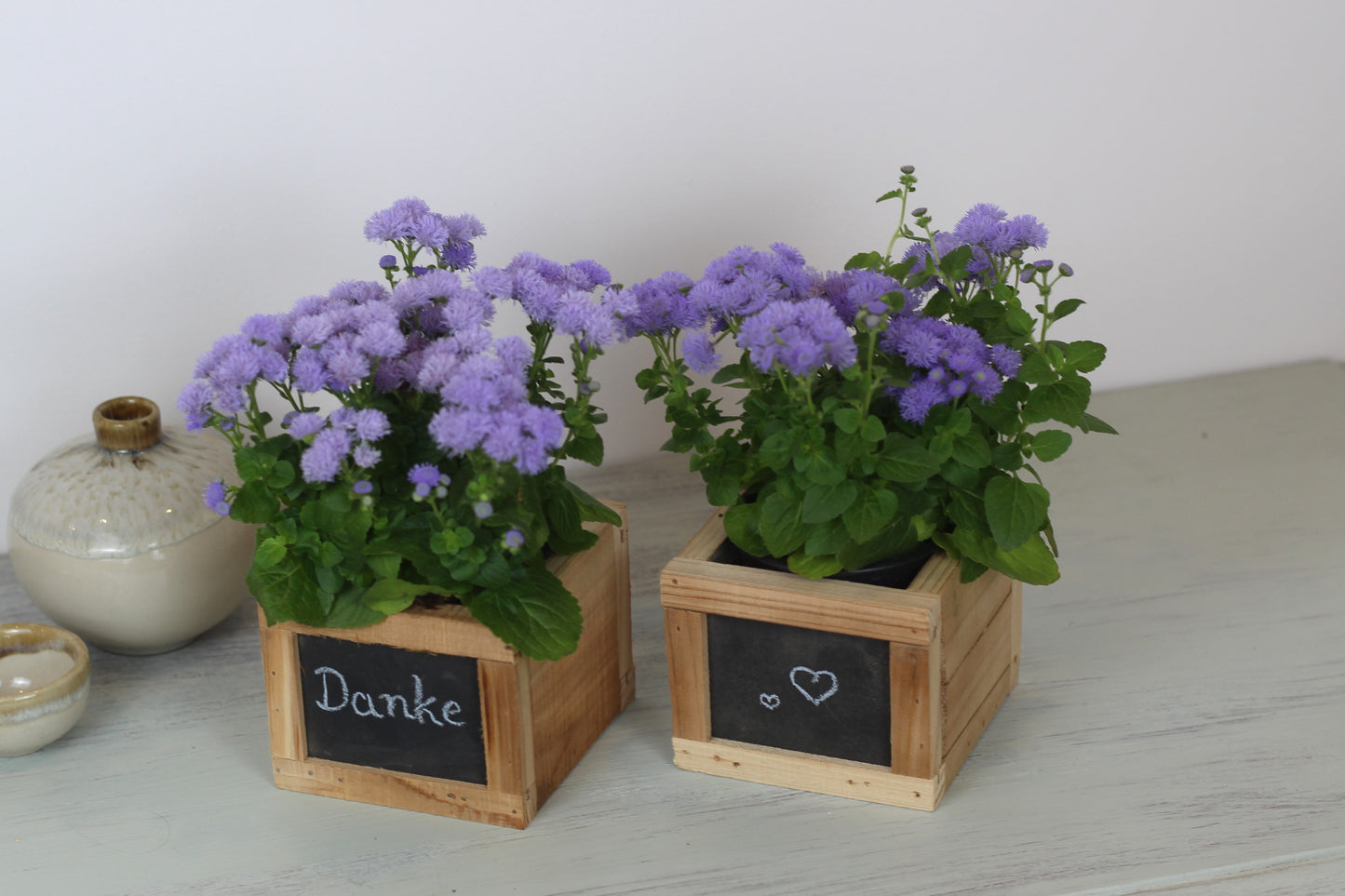 Holz Pflanzbox mit Tafel
