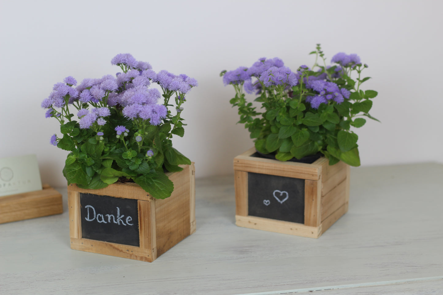 Holz Pflanzbox mit Tafel