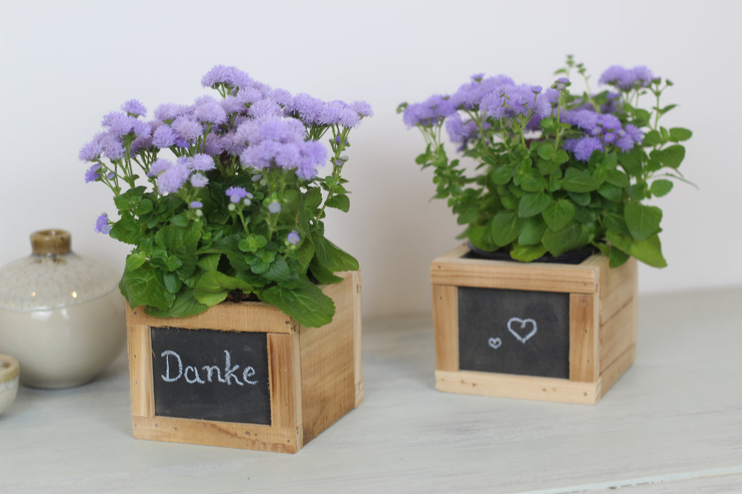 Holz Pflanzbox mit Tafel
